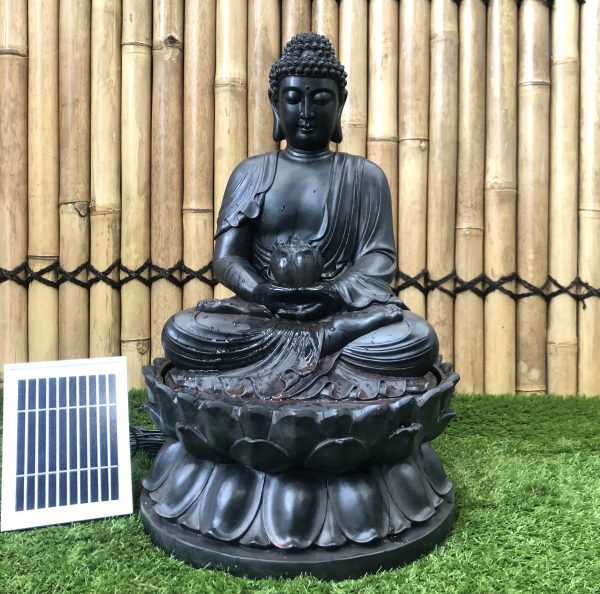 Solar Buddha