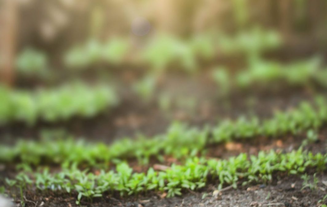 What surfaces can you lay artificial grass? Unlock the Versatility of Artificial Grass: Surfaces Beyond Soil