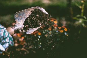 Surface-Soil