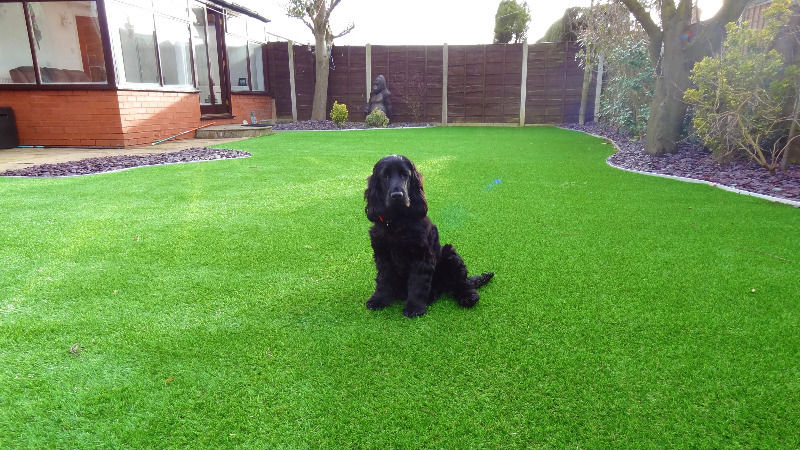 Why Choose Artificial Turf? Unveiling the Advantages of Synthetic Lawns