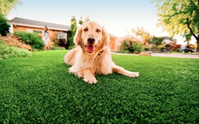 Insight about artificial turf and Common Concerns