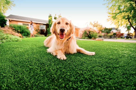 Insight about artificial turf and Common Concerns