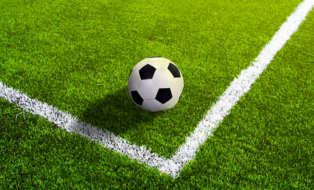 Is Artificial Turf Toxic? Separating Fact from Fiction