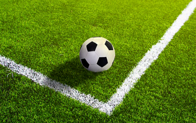 Is Artificial Turf Toxic? Separating Fact from Fiction