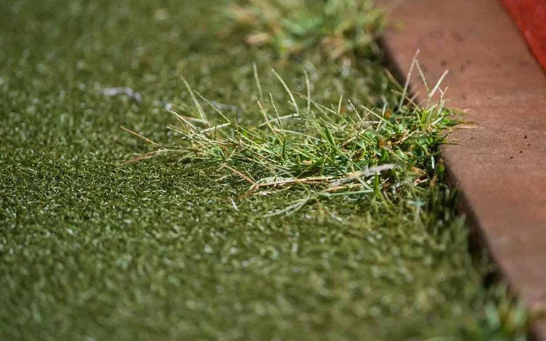 Why Does Artificial Turf Get Weeds and How to Clean Them?