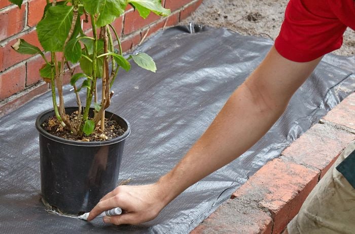 Weedmat Installation Guide – Step-by-Step for a Neat and Low-Maintenance Garden