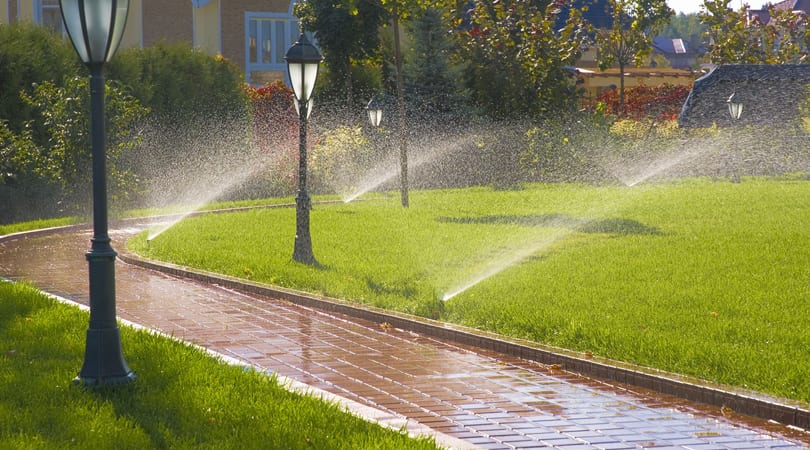 What to Know About Your Reticulation System Before Buying Synthetic Grass